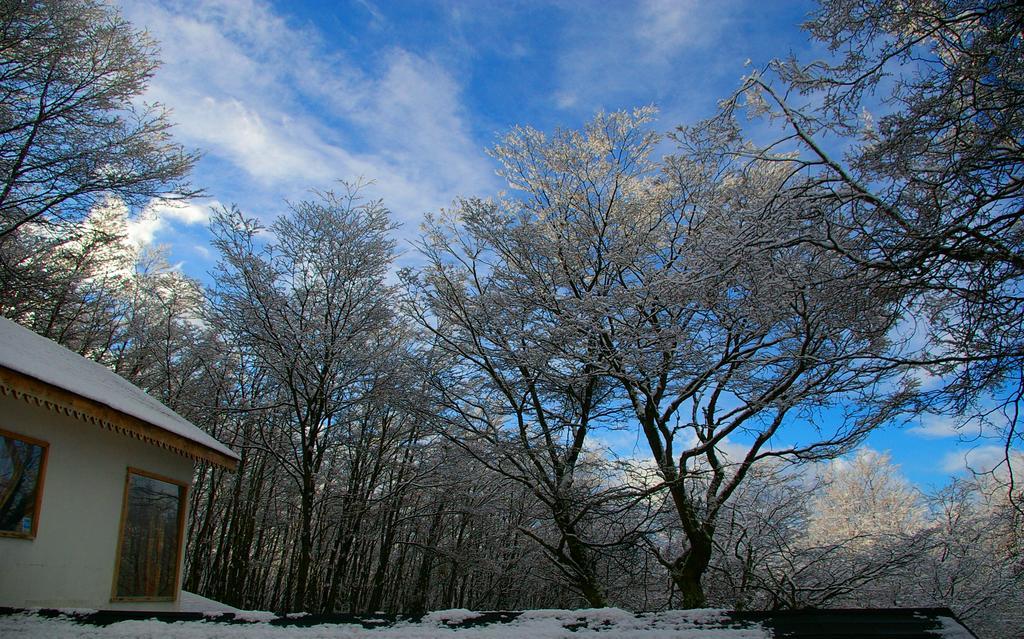 Familia Piatti B&B - Suites Ushuaia Ngoại thất bức ảnh